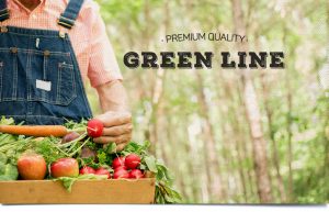 Green Line Premium Quality